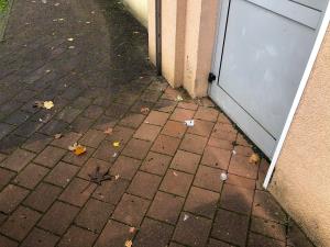 vandalizem, okt 2020, steklo (1)